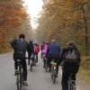 Jesienna droga do Grębowa 