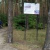 Rezerwat przyrody Skały w Krynkach 
