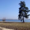 Jezioro Tarnobrzeskie 