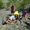 Łupanie kamieni w poszukiwaniu odcisków amonitów