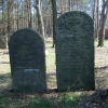 Macewy na żydowskim cmentarzu 