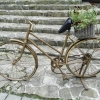Rower w parku zdrojowym 